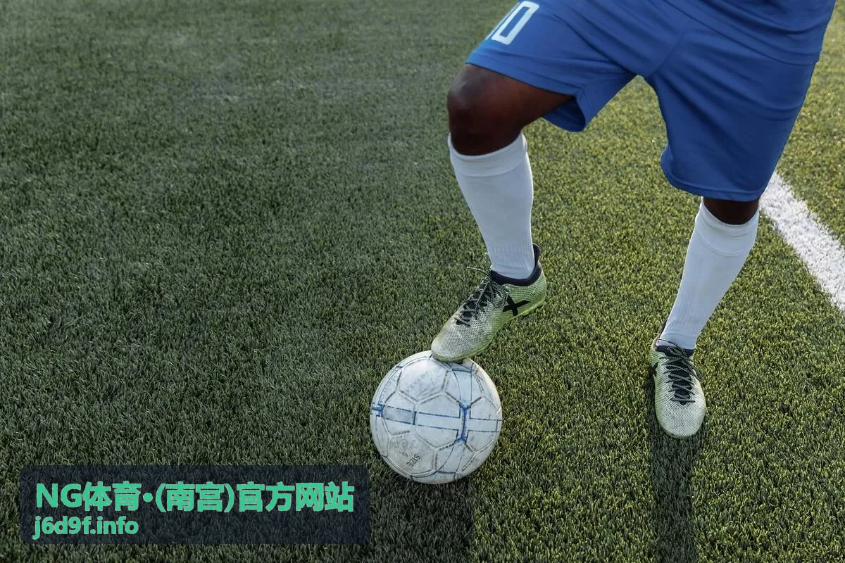 NG体育·(南宫)官方网站资讯更新流程配图